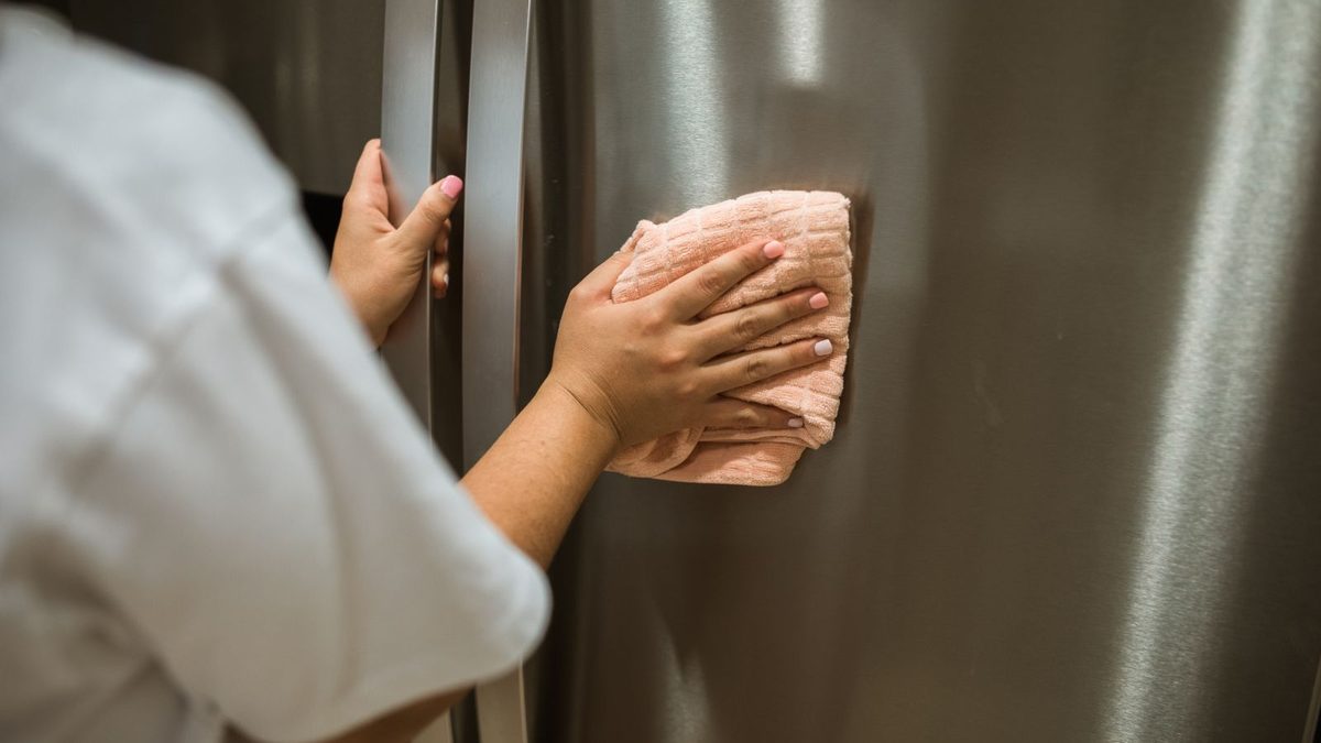 What fridge door gaskets trap that weekend wipes never reach