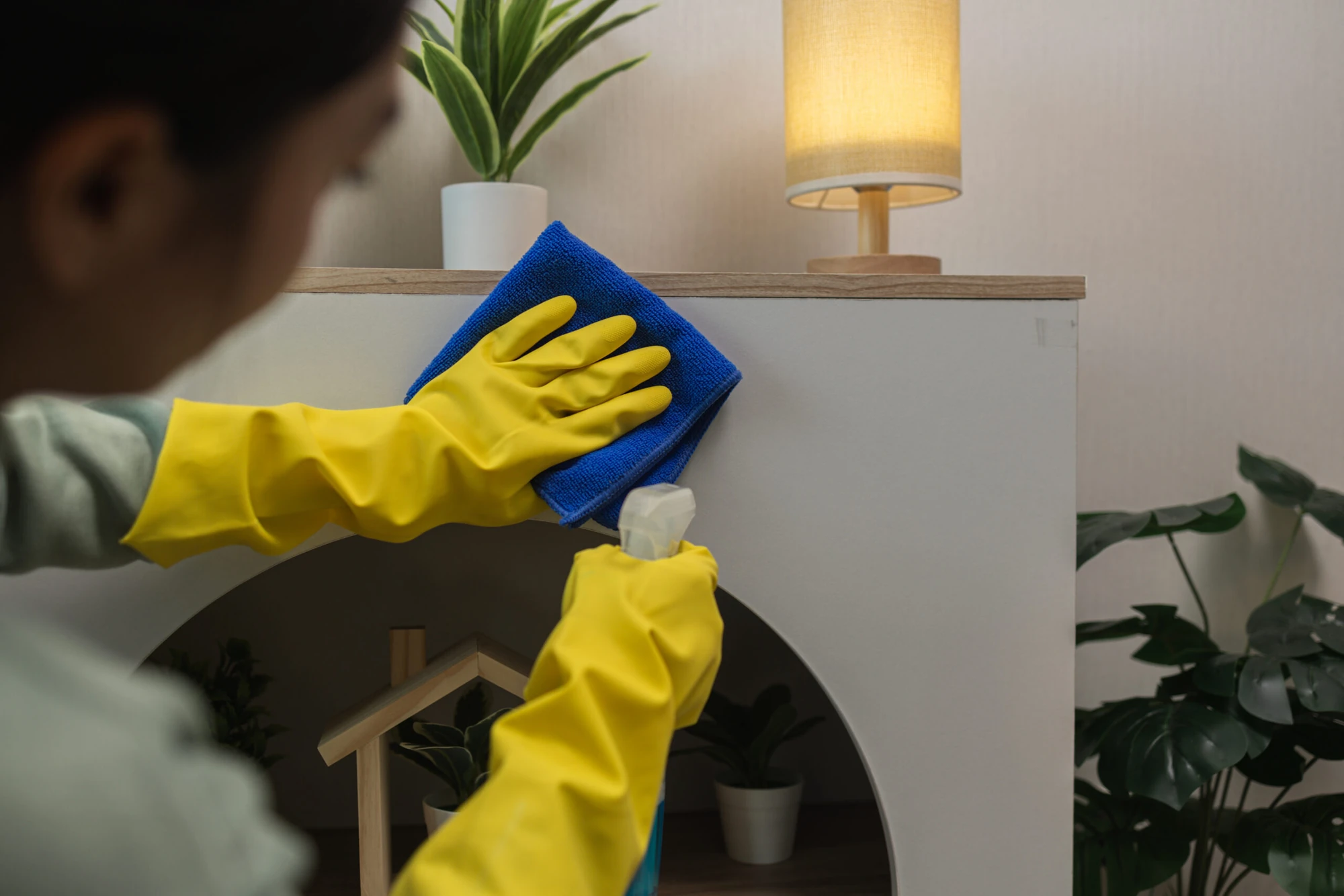 North-East Singapore cleaning coverage